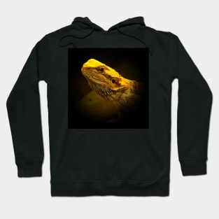 Pogona Hoodie